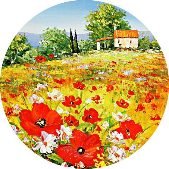 Цветы круглое лето