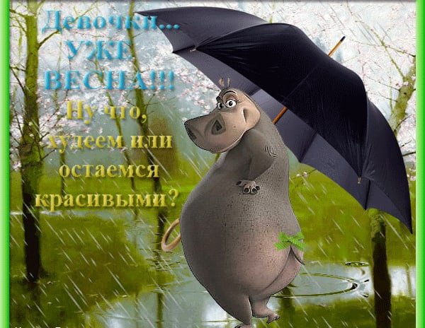 Картинки доброе утро холодное лето (58 фото)