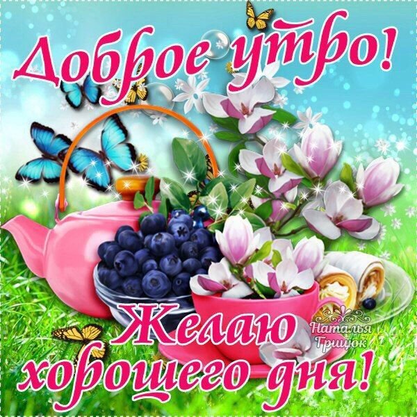 С добрым летним утром пятницы