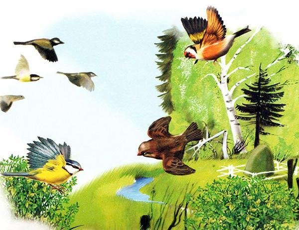 Виталий Бианки - Синичкин календарь: сказка