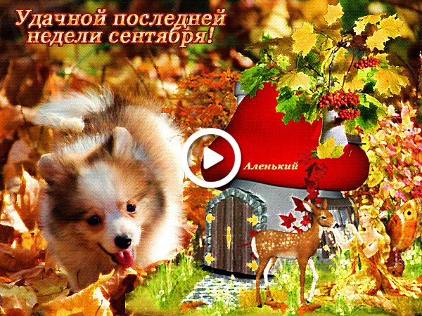С последней неделей сентября