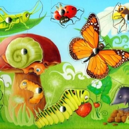 Летние насекомые для детей