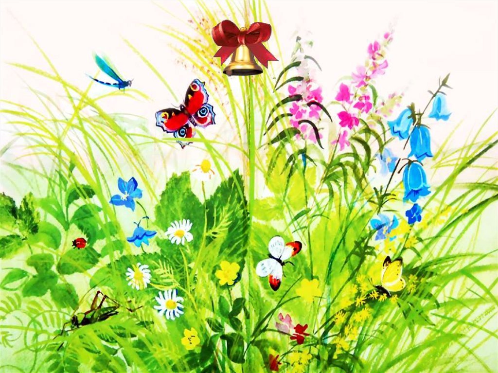 Нарисовать рисунок на лугу. Последние цветы м.м пришвин. .Охота за бабочкой" Михаила Пришвина. Рисование луговые цветы.