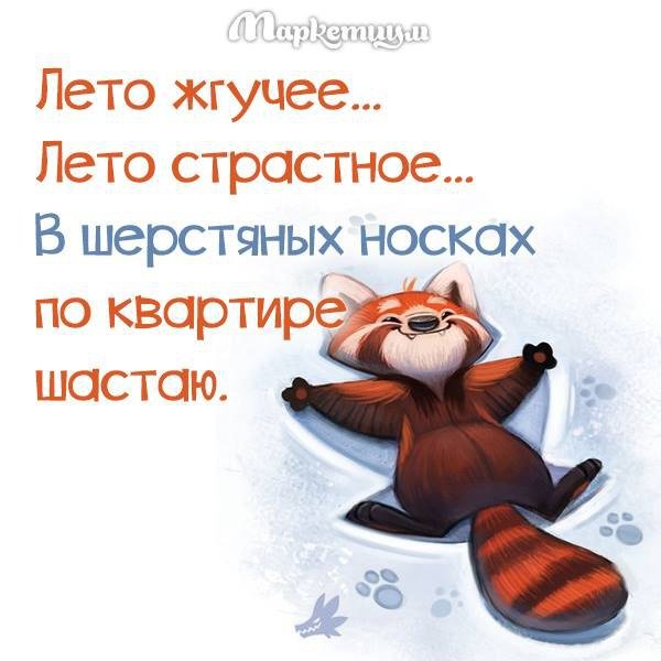 Прокол про Холодное лето