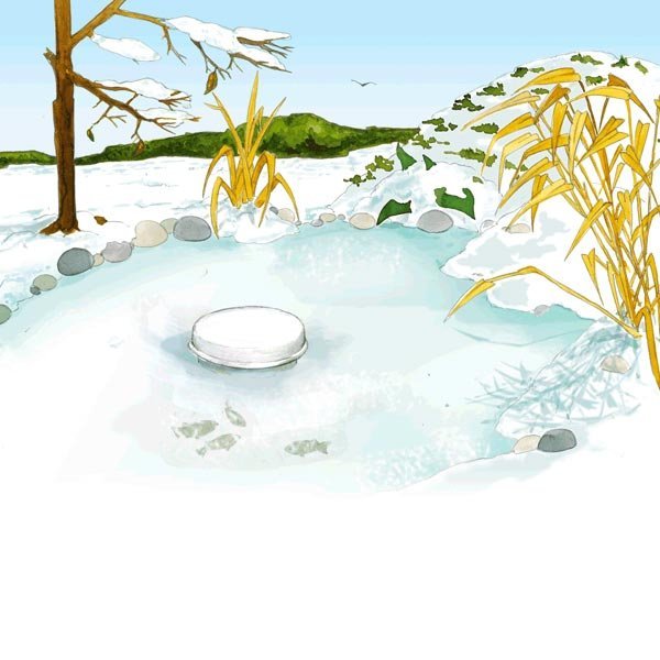 Зимой узоры на водоеме