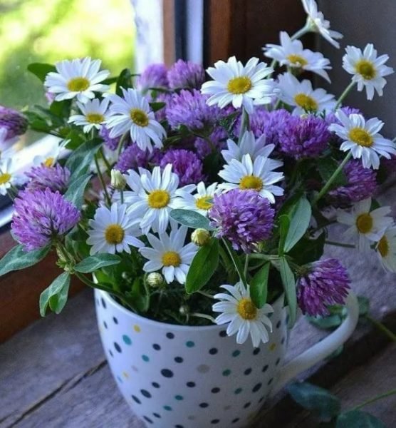 Доброго летнего понедельника