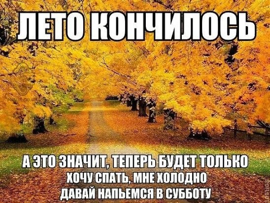 Лето пахнет