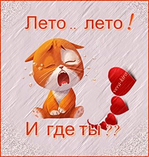 Смешные про Холодное лето