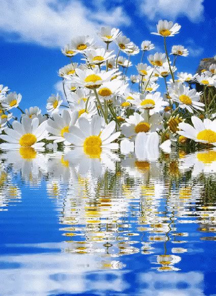 Жаркое лето