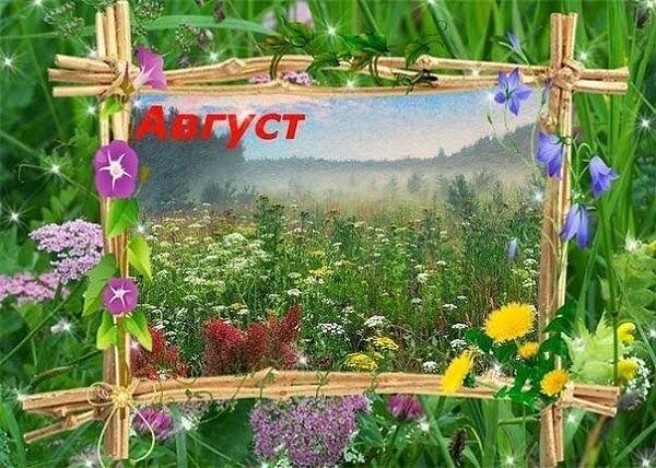 Август последний месяц лета