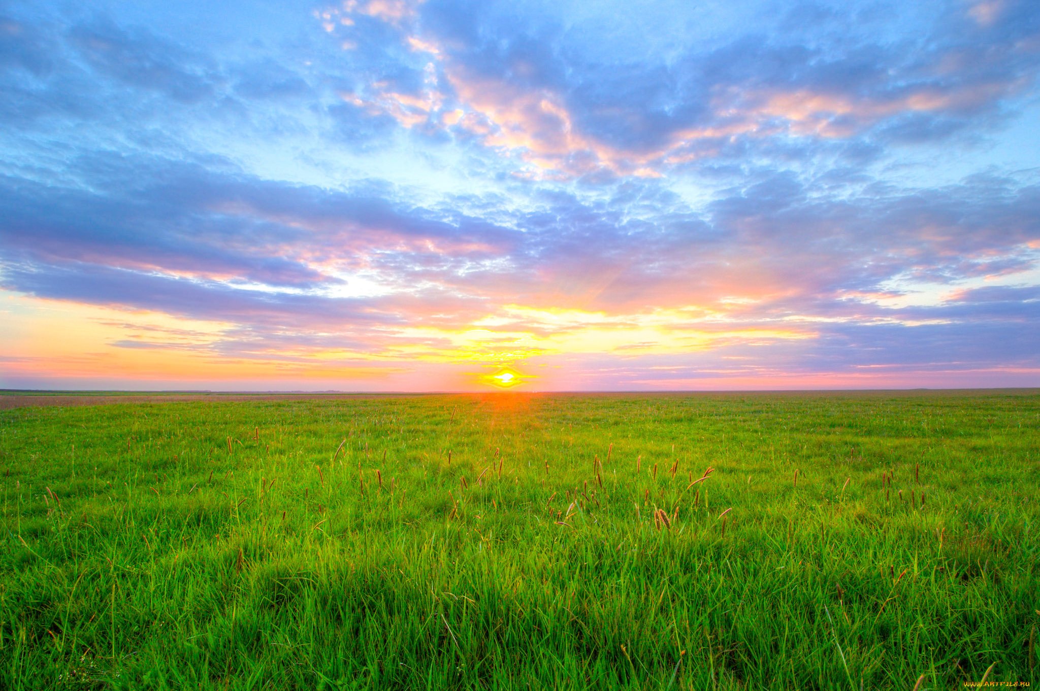 Небо утром солнечное. Рассвет в поле. Поле солнце. Восход в поле. Восход солнца в поле.