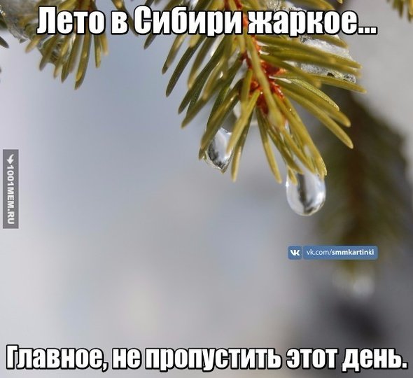 Холодное лето картинки