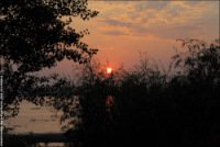 Ночь над прудом