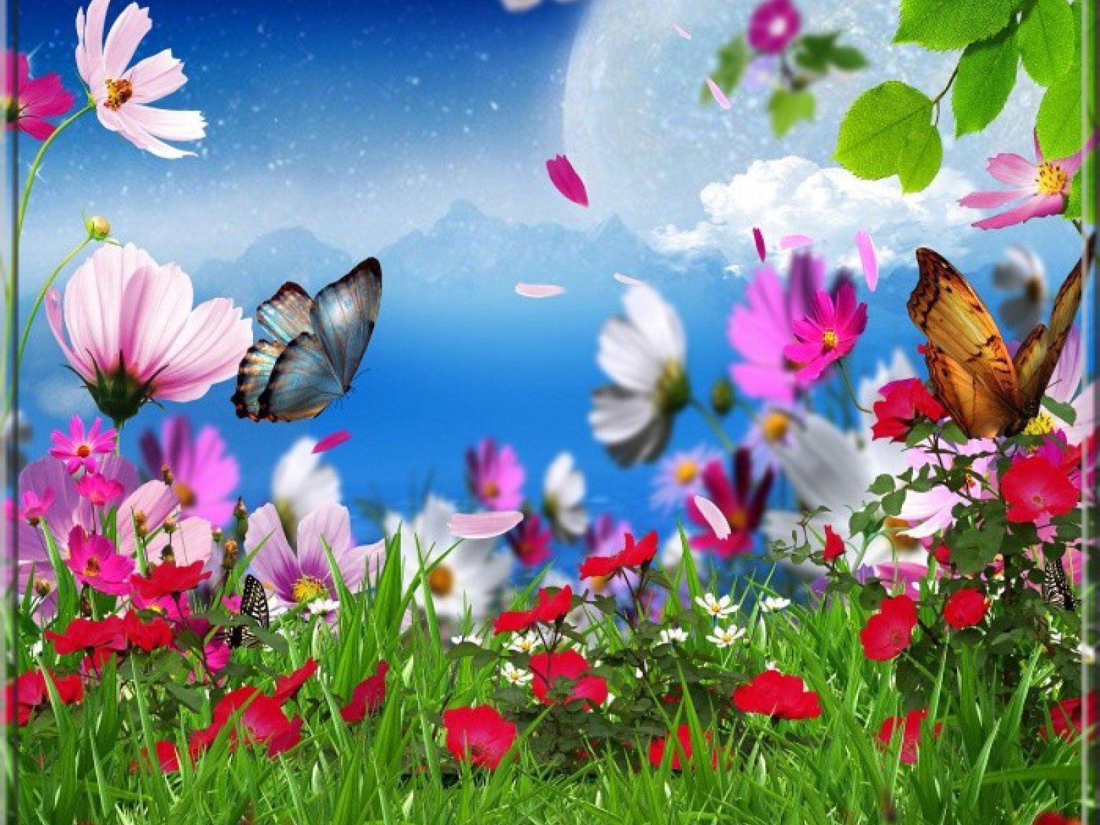 Май летние дни. Летние цветы. Поляна с цветами и бабочками. Яркие цветы и бабочки. Лето бабочки.