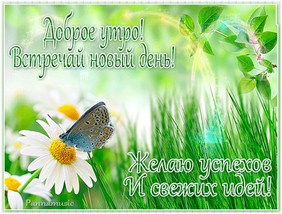 Картинки лето новый день (65 фото)