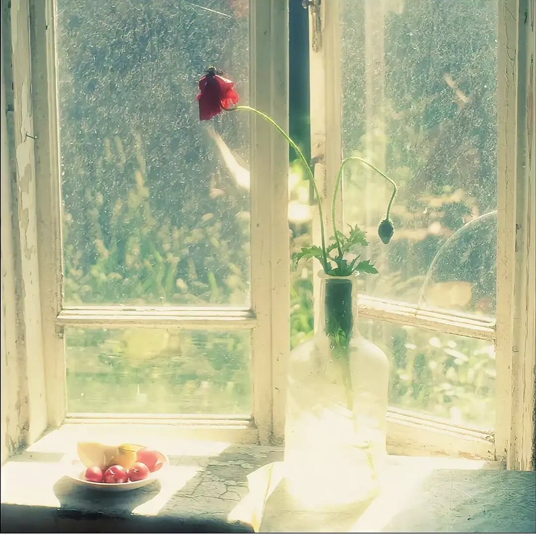 Новый рассвет стучится к тебе в окно. Утро окно. Картина окно. Цветы на окне. Лето на подоконнике.