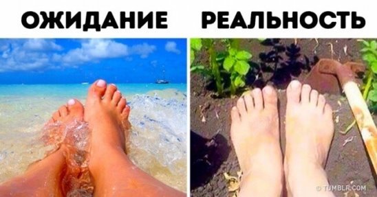 Отпуск ожидание и реальность