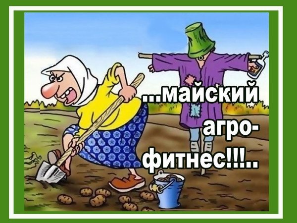 Про дачу и огород шутки