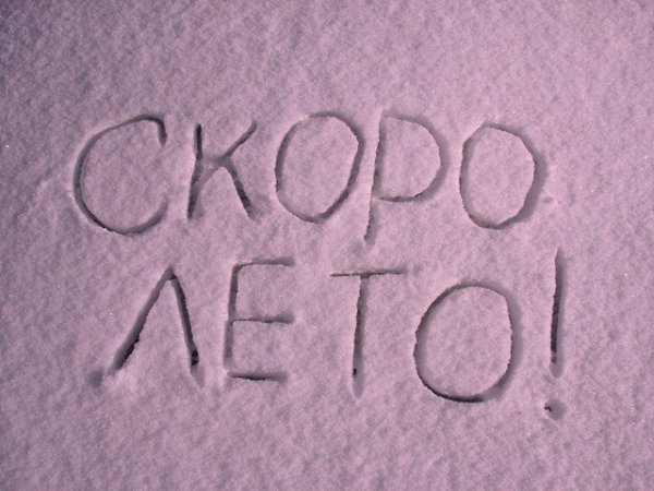 Открытки про лето прикольные