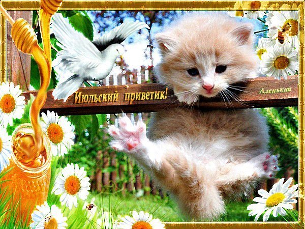 Июльский приветик