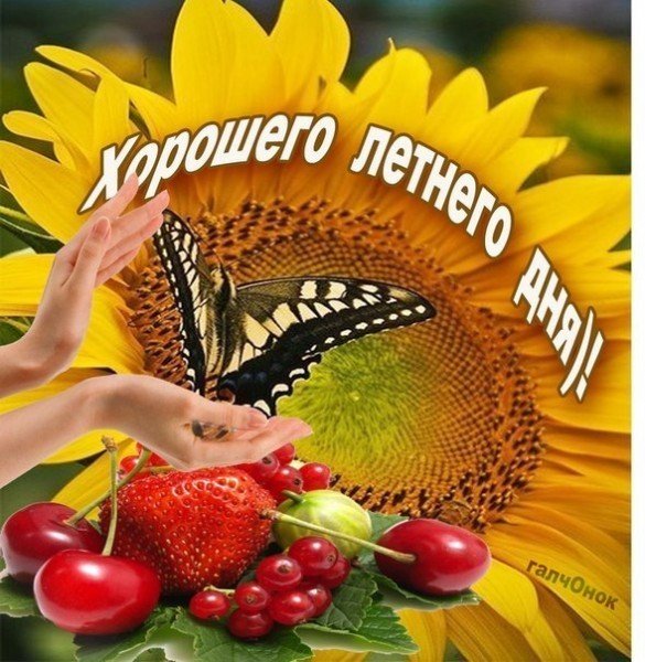 Открытки хорошего летнего дня