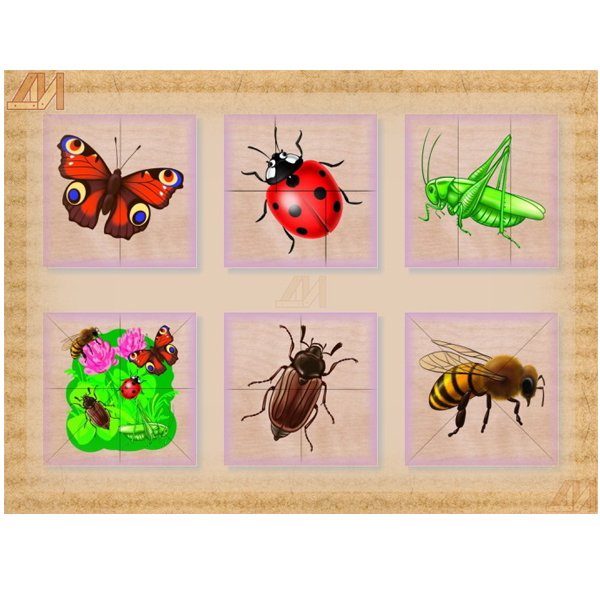 Признаки времен года для дошкольников