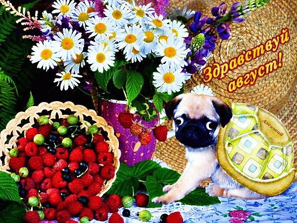 Букет ромашек с добрыми пожеланиями