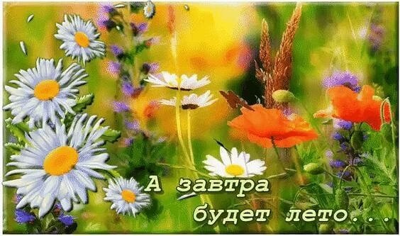 А завтра уже лето