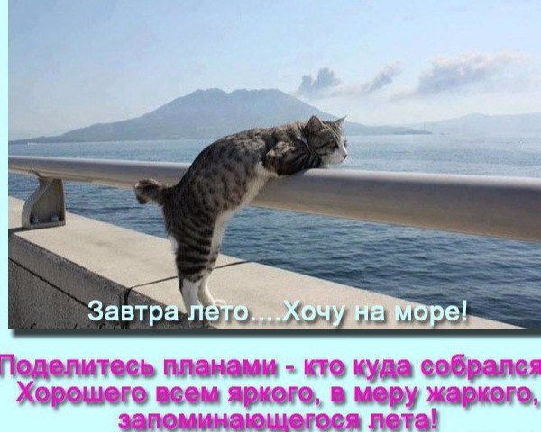 Фото завтра лето