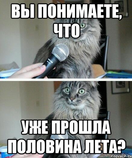 Половина лета прошла