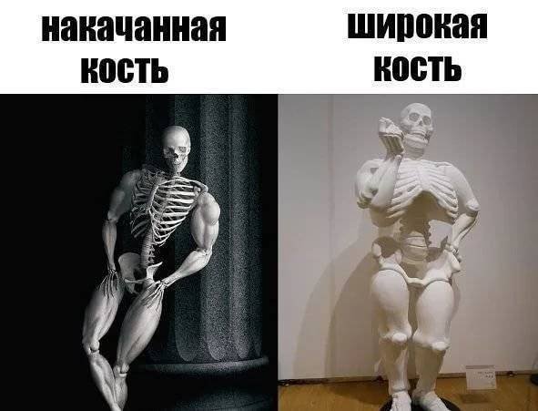 Широкая кость