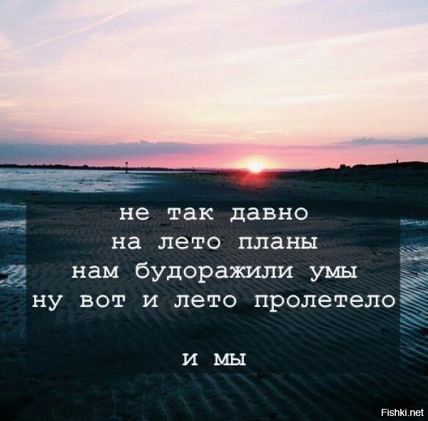 Типичный юмор