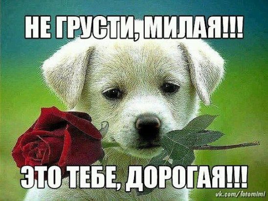 Удачного дня юмор