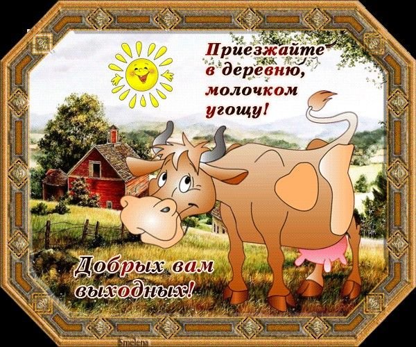 Доброе утро в деревне пожелание