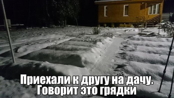 Холодное лето юмор