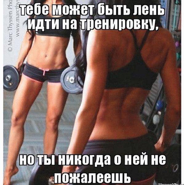 Спортивные девушки