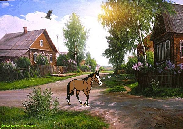 Летнее утро в городе