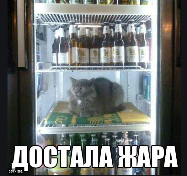 Приколы про жару