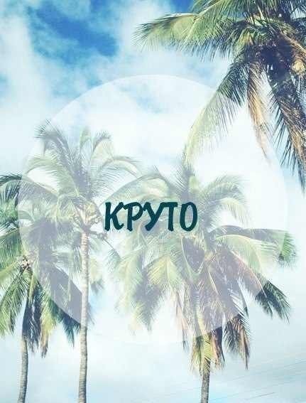 До лета осталось