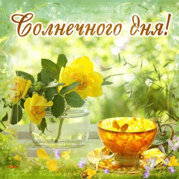 Теплого радостного дня