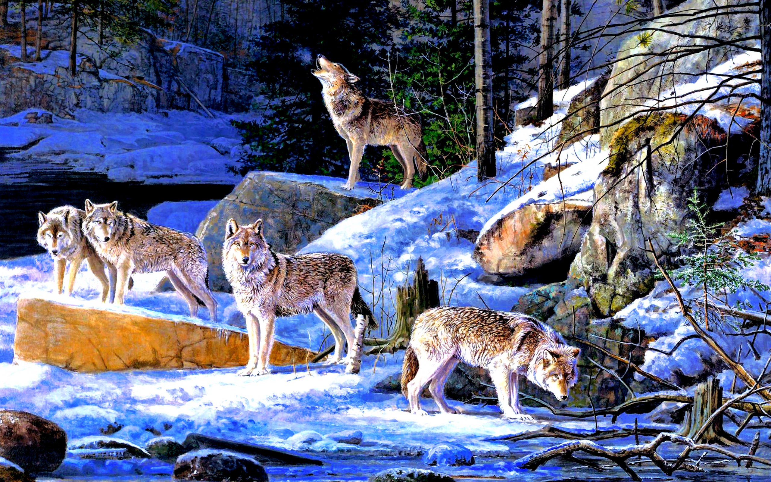 Природу про волков. Стая Волков. Волк зимой. Зимний пейзаж с волками. Картины с животными на природе.