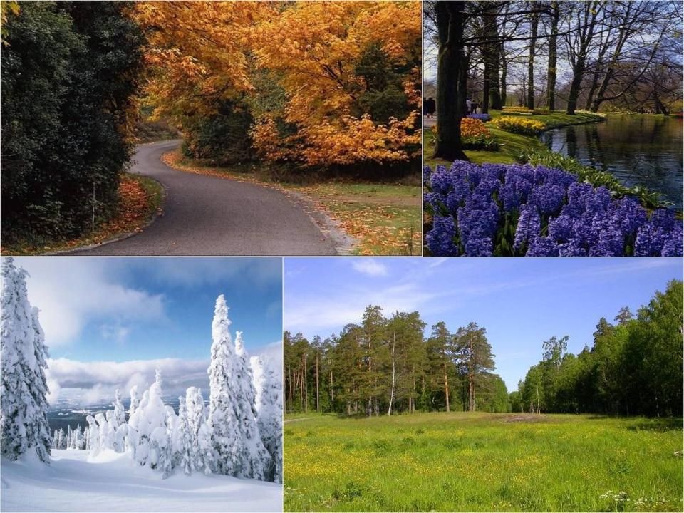 Seasons in russia. Природа в разные времена года. Поры года.