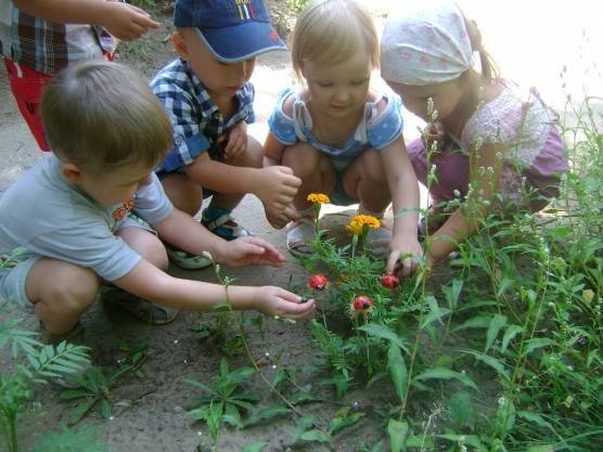 Прогулка в детском саду лето