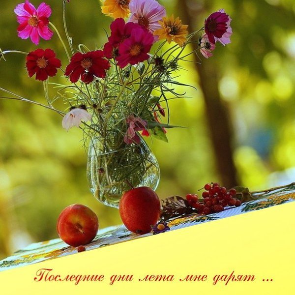 С последними выходными уходящего лета