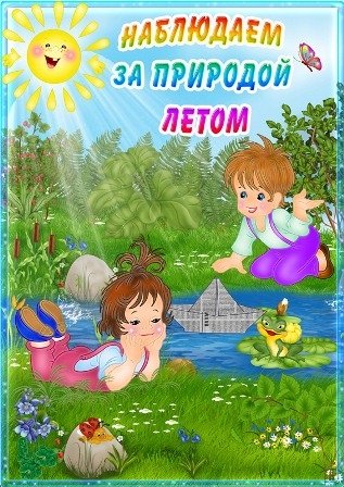 Наблюдения в природе летом