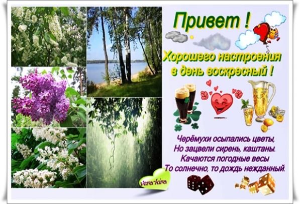 С добрым летним утром воскресенья с пожеланиями