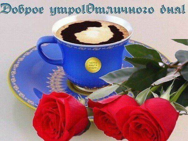 Добрый Ранок Украина