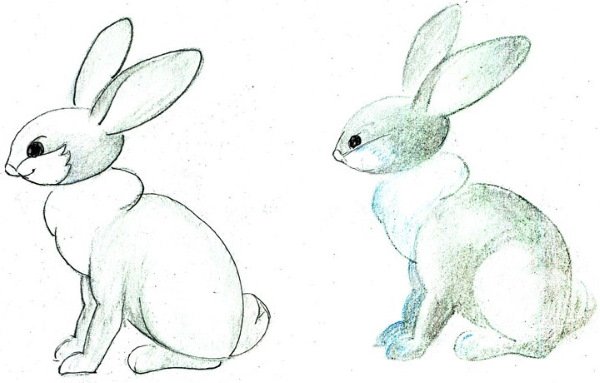 Заяц карандашом в цвете