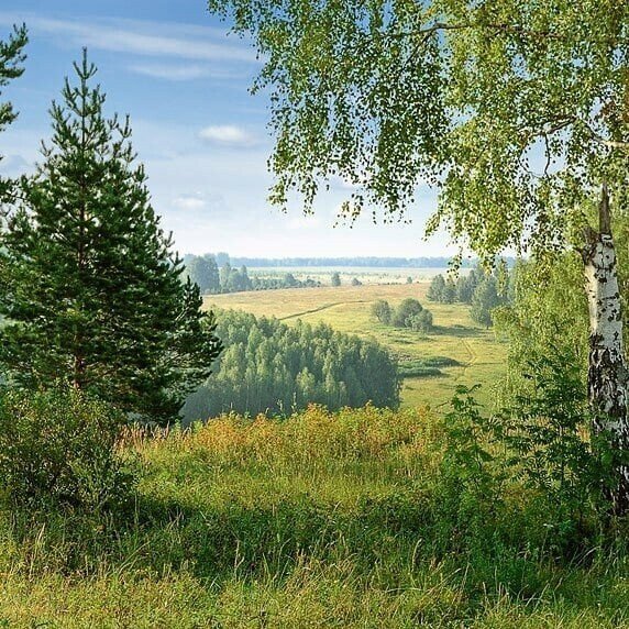 Сибирь летом