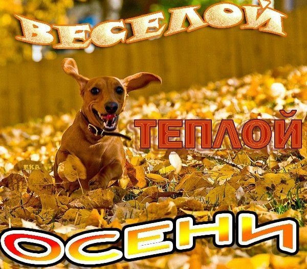 Шутки про бабье лето